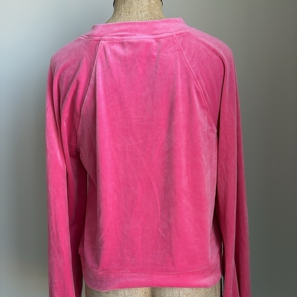 Anthropologie Saturday Sunday Merida Velvet Sweatshirt SMALL - Picture 7 of 7